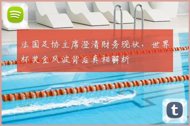 法国足协主席澄清财务现状,世界杯奖金风波背后真相解析