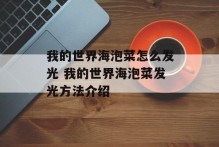 我的世界海泡菜怎么发光 我的世界海泡菜发光方法介绍