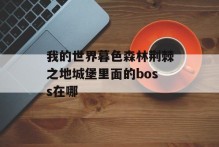 我的世界暮色森林荆棘之地城堡里面的boss在哪