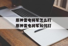 原神雷电将军怎么打 原神雷电将军如何打