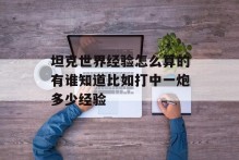 坦克世界经验怎么算的有谁知道比如打中一炮多少经验