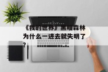 《我的世界》黑暗森林为什么一进去就失明了？