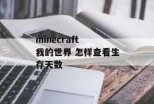 minecraft 我的世界 怎样查看生存天数