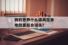 我的世界什么道具在末地放置后会消失？
