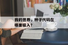 我的世界，种子代码在哪里输入？