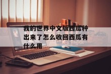 我的世界中文版西瓜种出来了怎么收回西瓜有什么用