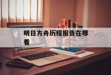 明日方舟历程报告在哪看