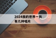 2024我的世界一共有几种唱片