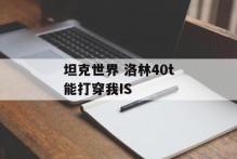 坦克世界 洛林40t能打穿我IS