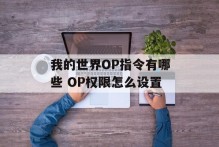我的世界OP指令有哪些 OP权限怎么设置