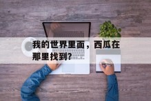 我的世界里面，西瓜在那里找到？