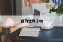 我的世界 物