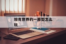 坦克世界豹一原型怎么玩
