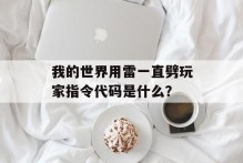 我的世界用雷一直劈玩家指令代码是什么？