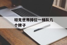 坦克世界排位一梯队几个牌子