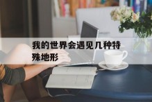 我的世界会遇见几种特殊地形