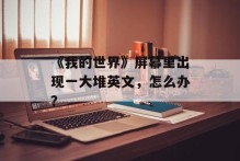 《我的世界》屏幕里出现一大堆英文，怎么办？