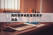 我的世界末影龙有多少滴血