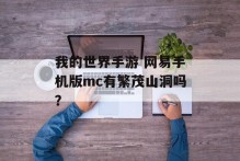 我的世界手游 网易手机版mc有繁茂山洞吗？