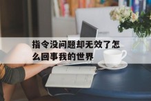 指令没问题却无效了怎么回事我的世界