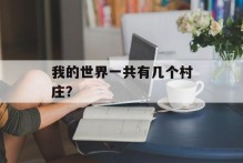 我的世界一共有几个村庄？