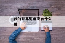 我的世界海龟壳有什么用