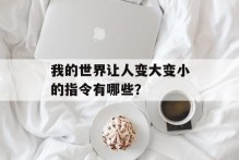 我的世界让人变大变小的指令有哪些？