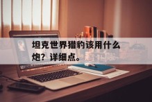 坦克世界猎豹该用什么炮？详细点。