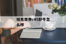 坦克世界c45野牛怎么样