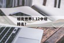 坦克世界1.12中坦排名？