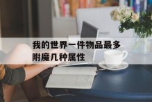 我的世界一件物品最多附魔几种属性