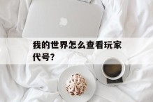 我的世界怎么查看玩家代号？
