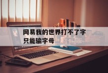 网易我的世界打不了字只能输字母