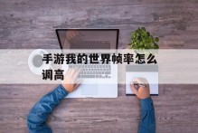 手游我的世界帧率怎么调高