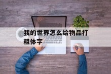 我的世界怎么给物品打粗体字