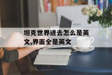 坦克世界进去怎么是英文,界面全是英文