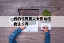 我的世界篝火会影响植物生长吗