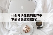 什么方块在我的世界中不能被铁镐挖掘的？