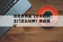 坦克世界霞飞分到胜利之门怎么玩啊？很拙级吖