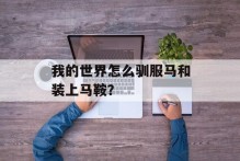 我的世界怎么驯服马和装上马鞍？