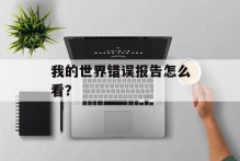 我的世界错误报告怎么看？
