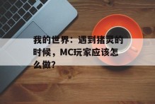 我的世界：遇到猪灵的时候，MC玩家应该怎么做？