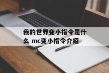 我的世界变小指令是什么 mc变小指令介绍