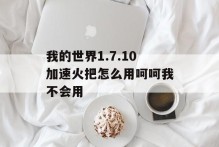 我的世界1.7.10加速火把怎么用呵呵我不会用