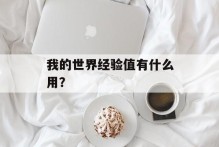 我的世界经验值有什么用？
