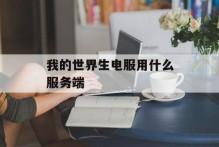 我的世界生电服用什么服务端