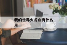 我的世界火龙血有什么用