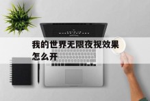 我的世界无限夜视效果怎么开