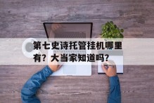 第七史诗托管挂机哪里有？大当家知道吗？