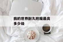 我的世界耐久附魔最高多少级